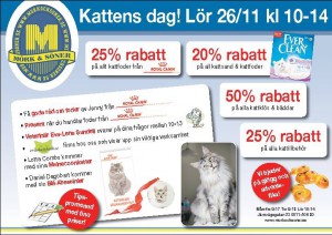 kattens-dag-2016